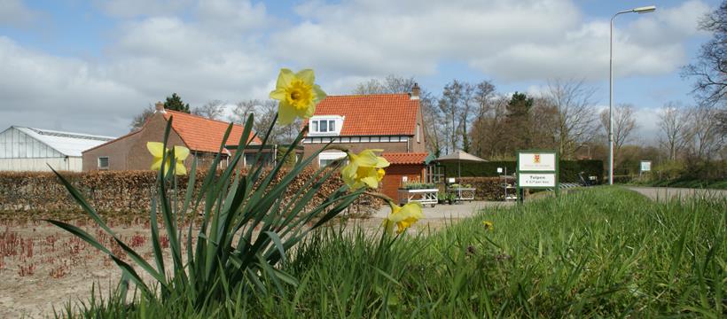 De kwekerij