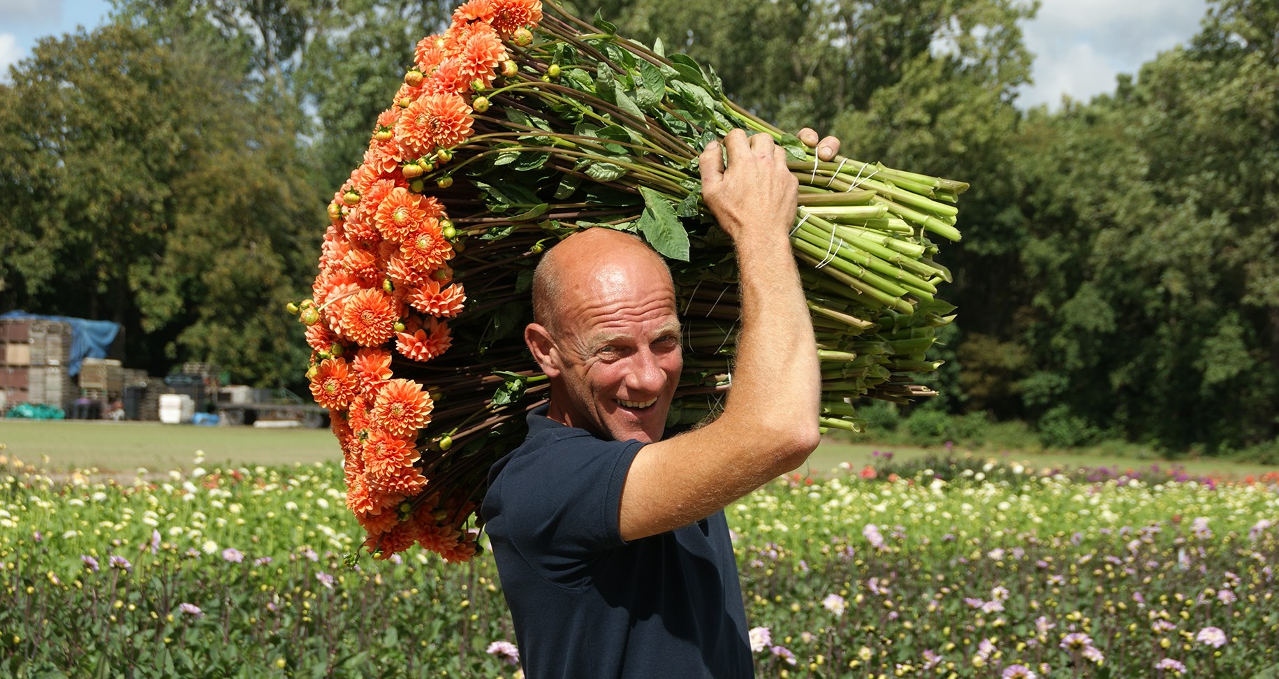 Johan Molenaar